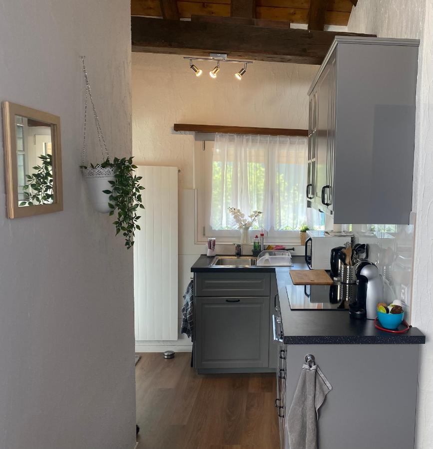 Dachwohnung In Der Mitte Von Laax-Dorf Εξωτερικό φωτογραφία